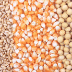 Corn/Wheat/Soybeans